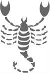 Scorpion