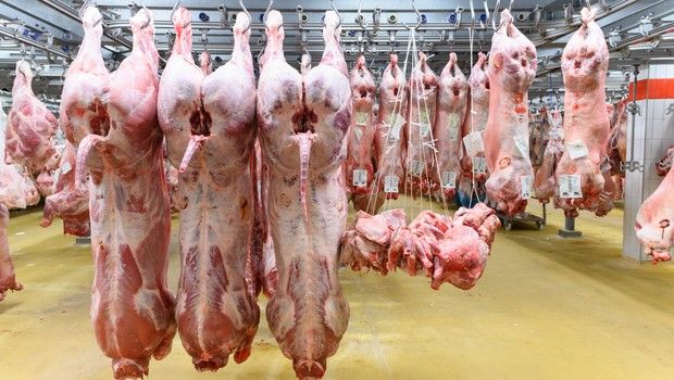 Abattoir - actualité France