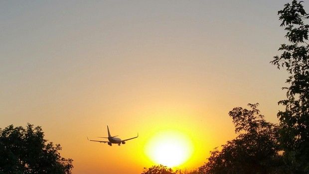 Avion