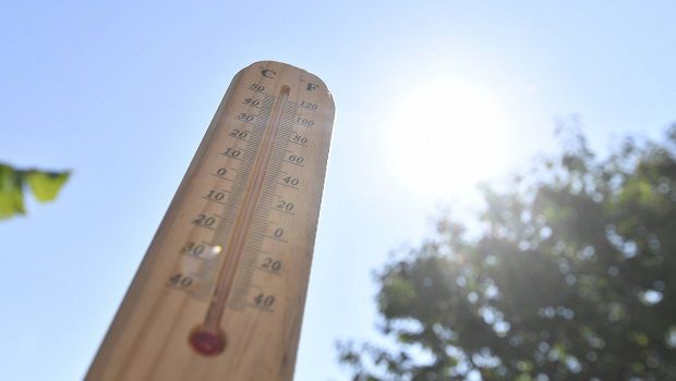 Canicule