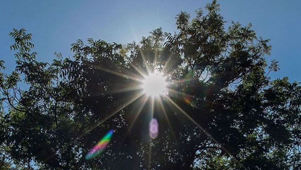 Chaleur - Canicule