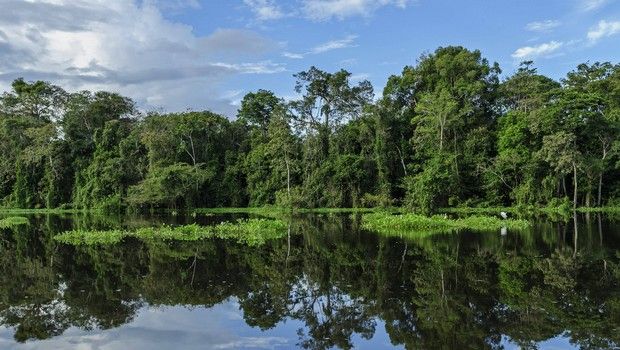 Fleuve Amazone
