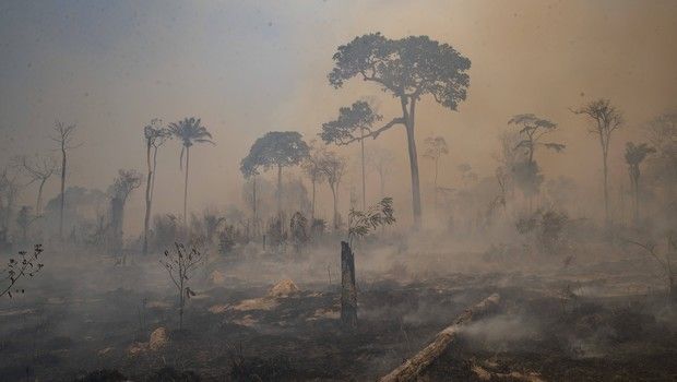 Incendie - Amazonie