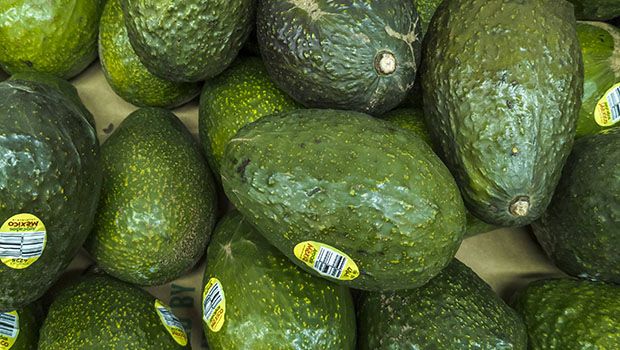 L’ avocat, fruit très apprécié par les Américains, visé par la politique douanière de Trump