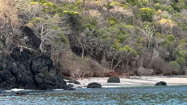 Mayotte - PEXELS