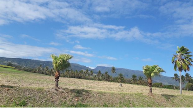 Météo La Réunion - soleil - nuages