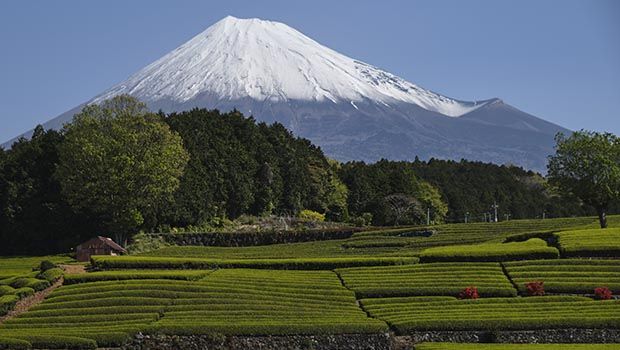Mont Fuji