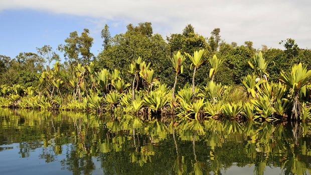 Toamasina